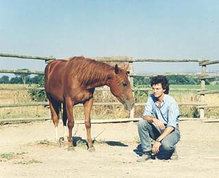 Il cavallo viene a fare timidamente e spontaneamente conoscenza con il capobranco umano