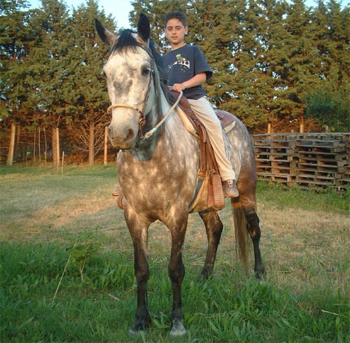 Gianluca su Jolly, il cavallo del pap�