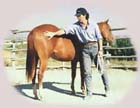 Ottenere che il cavallo rimanga rilassato quando lo sottoponiamo a stimoli di movimento e di contatto � l'obbiettivo della terza fase della doma dei sentimenti