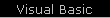  Visual Basic 