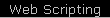  Web Scripting 