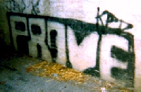 Graffiti at crime scene of car theft. � John Lee