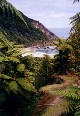 Beautiful N.Z
