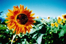 Have a Happy day!