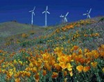 Wind Turbines: Ugly and Noisy?