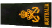 Royal Australian Navy Petty Officer E-4 (PO)