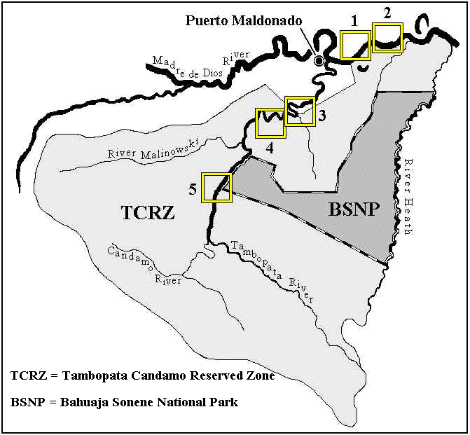 wpeD.jpg (44534 bytes)