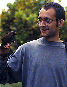 huwy&rufifrons1.JPG (144381 bytes)