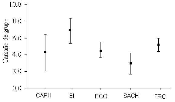 wpe1B.jpg (12946 bytes)