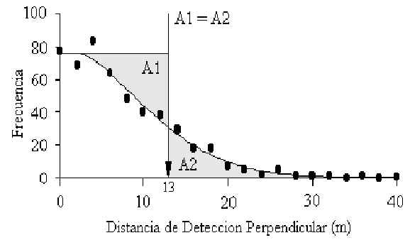 wpe1C.jpg (17217 bytes)