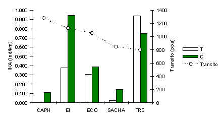 wpe22.jpg (13349 bytes)