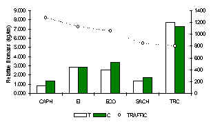 wpe2C.jpg (8446 bytes)