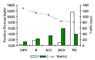 wpe2D.jpg (8887 bytes)