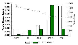 wpe2F.jpg (8249 bytes)