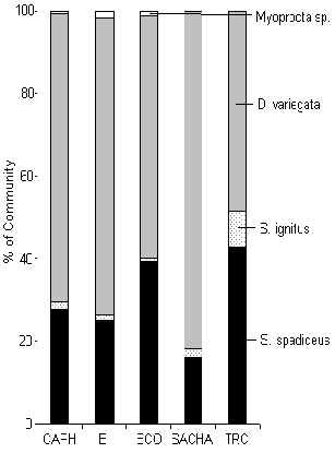 wpe32.jpg (14513 bytes)