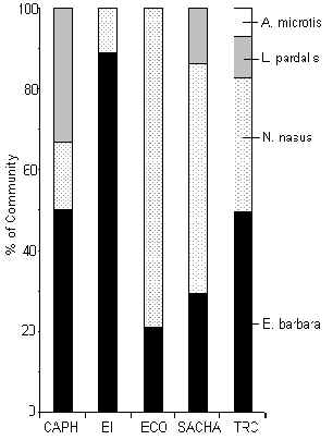 wpe33.jpg (16208 bytes)