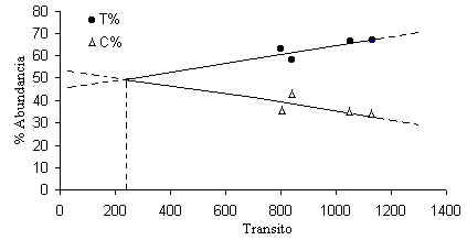 wpe39.jpg (10118 bytes)