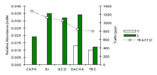 wpe19.jpg (14975 bytes)
