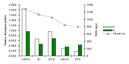 wpe1B.jpg (14259 bytes)