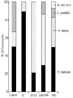 wpe3B.jpg (14989 bytes)