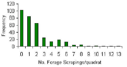 wpe20.jpg (13245 bytes)