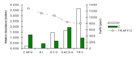 wpe4.jpg (14773 bytes)