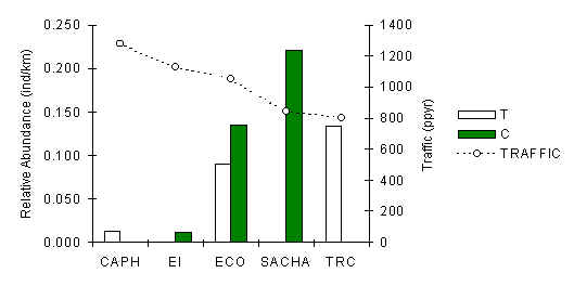 wpe5.jpg (14713 bytes)