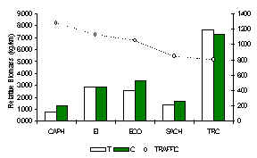 wpe8.jpg (8094 bytes)