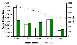 wpeB.jpg (8433 bytes)