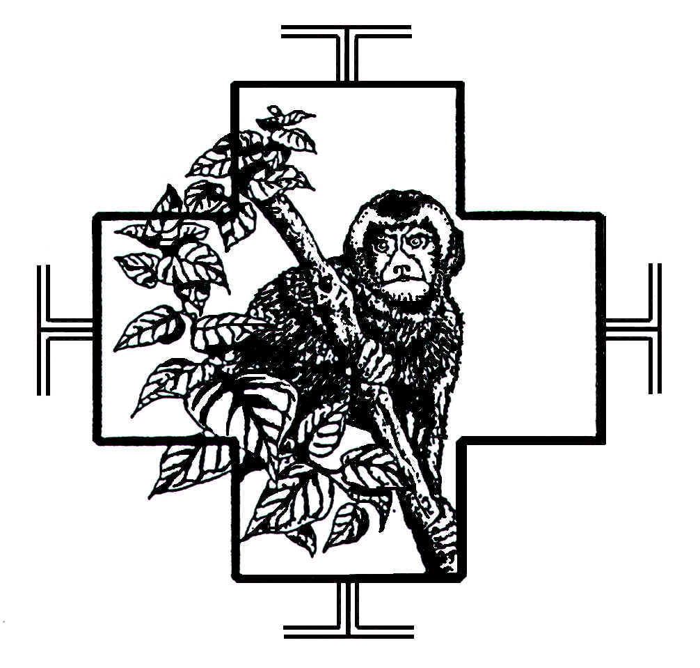 wpe2A.jpg (96720 bytes)