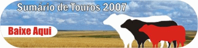 Sum&aacute;rio de Touros