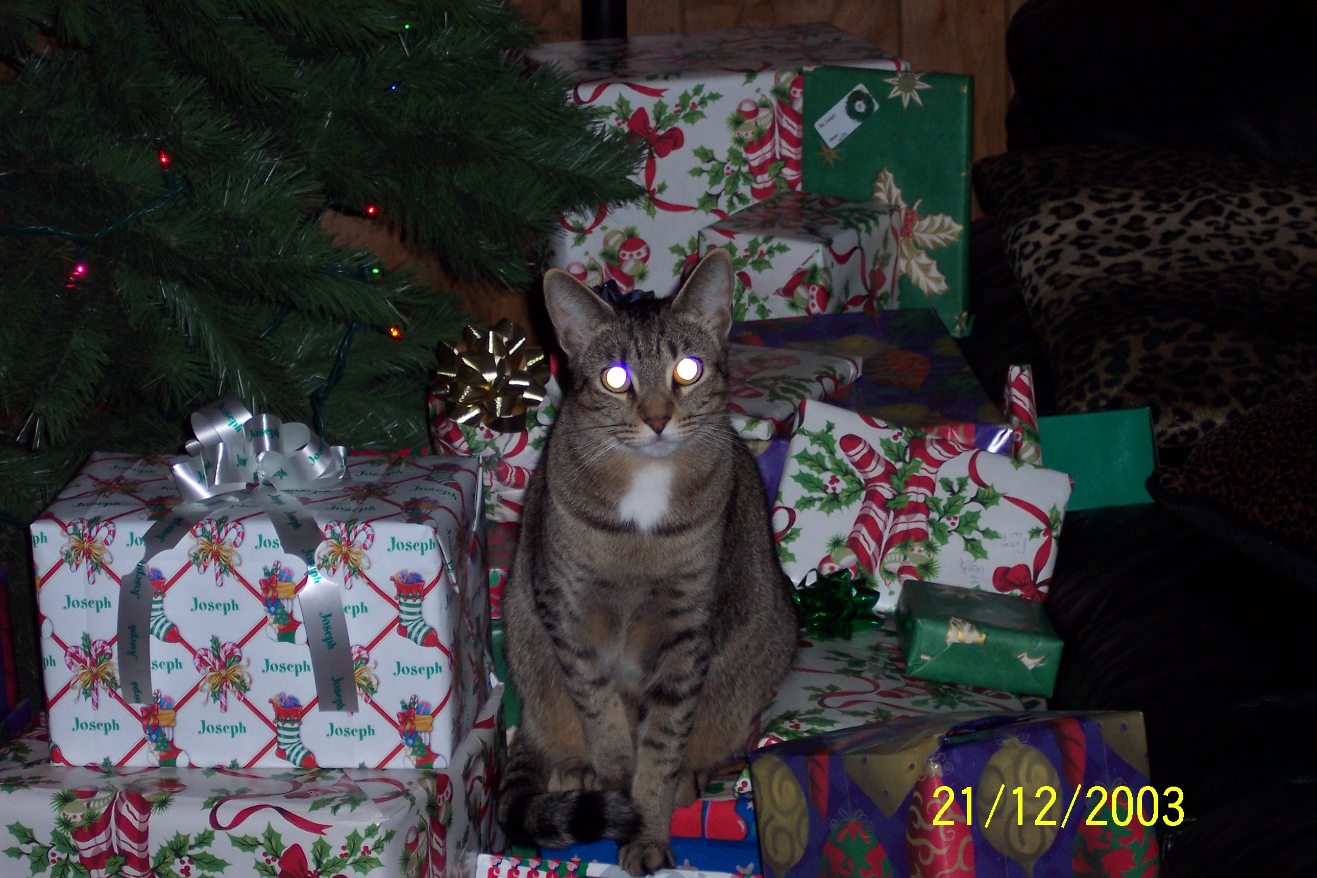 Patrick Henry, one cool cat.