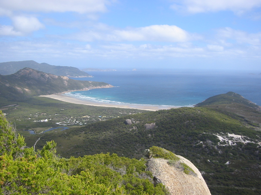 Norman Bay