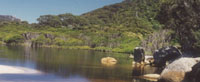 Waterloo Bay
