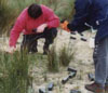Volunteer work