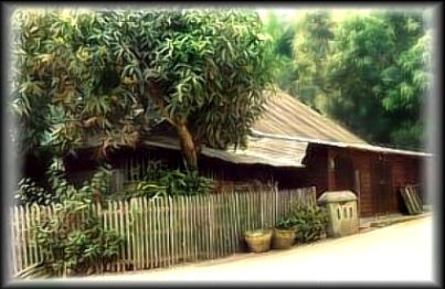 a really nice house we stayed at - in the centre of Luarng prabarng and only about 3 minutes from the Mekong River . . .