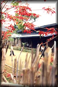 a tiny peek at a village school - along a trekking route in Luarng Prabang - towards Kuang Xi Waterfall