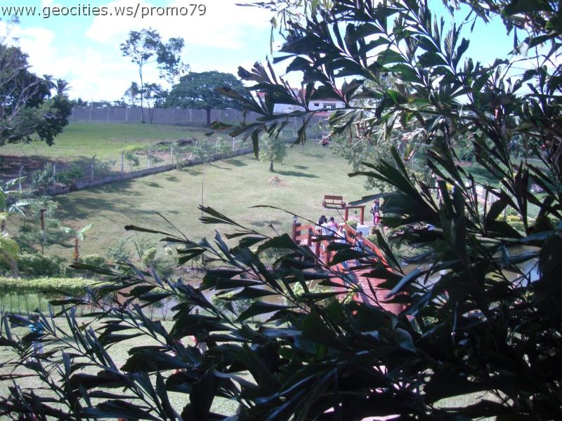 w-geocities-ws-promo79-30.jpg