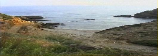 VENTE,LOCATION,TERRAINS,IMMMOBILIER,BORD DE MER,IMMOBILIEN