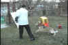Doggy Loscos.jpg (149884 bytes)