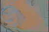 tiger.jpg (119314 bytes)
