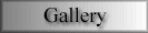 Photo Gallery
