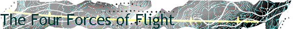 The Four Forces of Flight