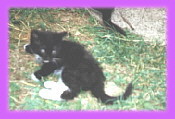 Such a little tyke she was!