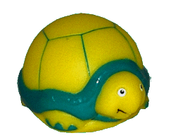 I'm wise and stuff...I'm Terrence the Turtle..hi Azar!