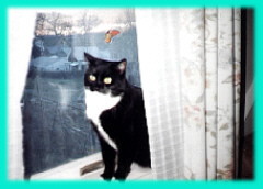 notice the beautiful scenery out the window? yes...very perceptive of you