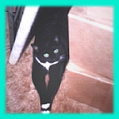 she even lounges elegantly