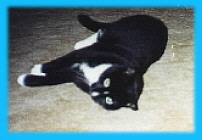 ...just a-lazin about....