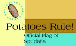 I pledge allegiance to the flag...and this time I really mean it!
