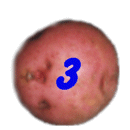 3 potato
